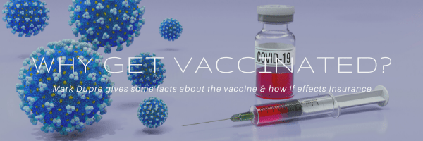 Some insight into the COVID-19 vaccine